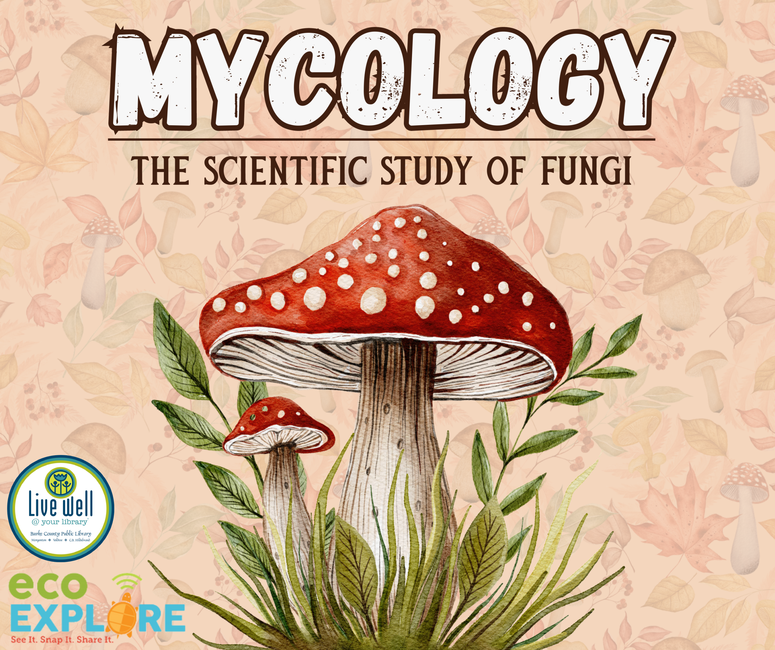 Mycology Season with EcoExplore