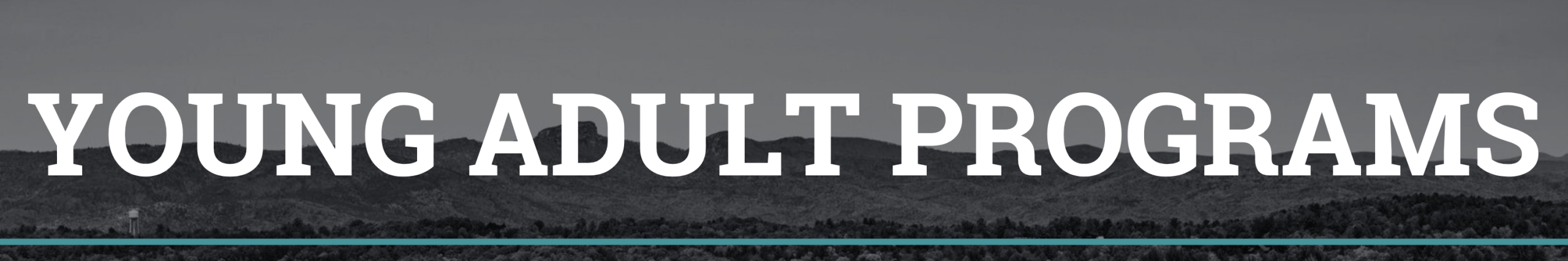 Young Adult Programs