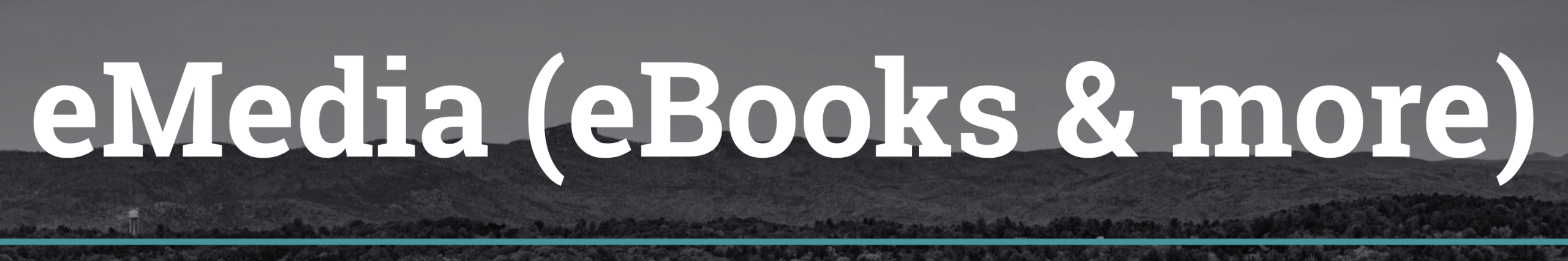 eMedia (eBooks and More)