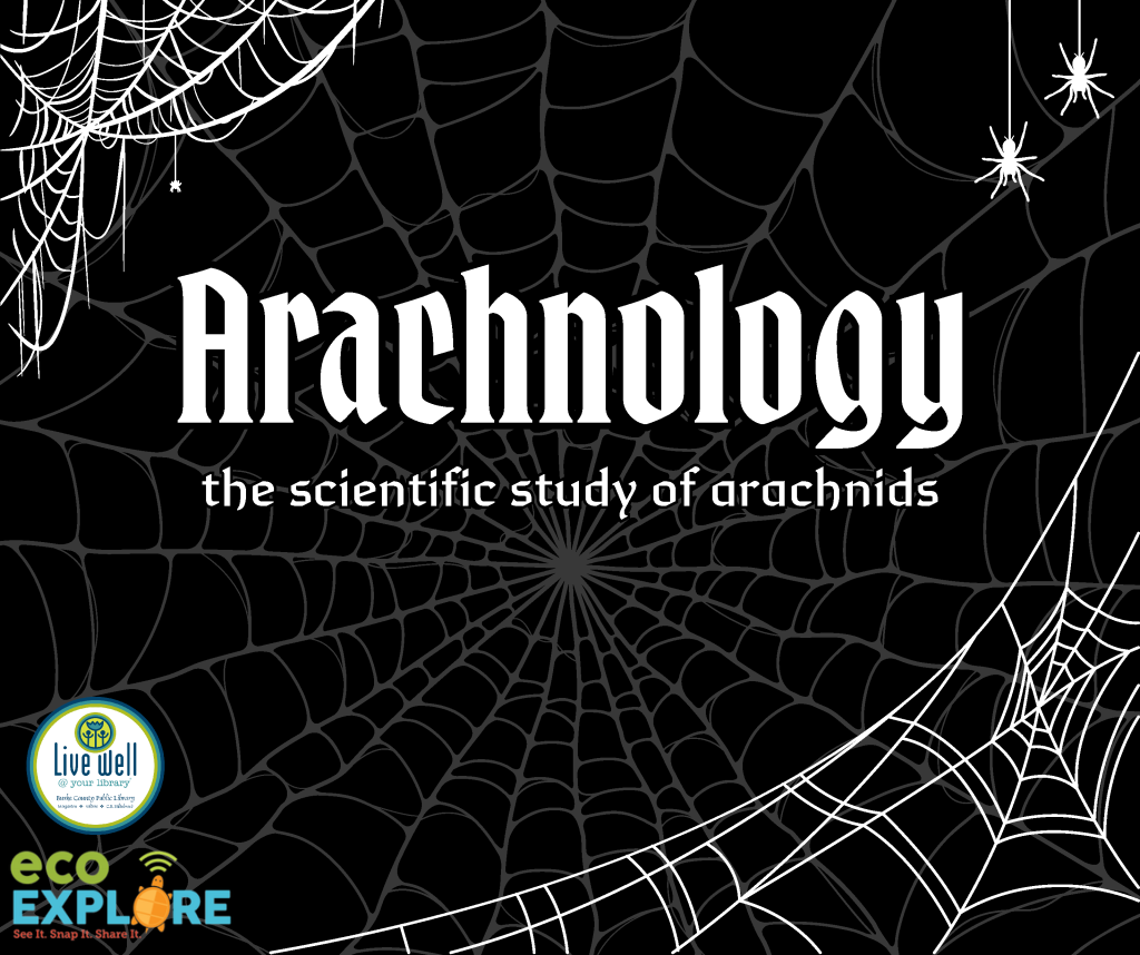 Image featuring spider webs on a black background with the title "Arachnology" and the subtitle "the scientific study of arachnids." Logos at the bottom corner represent a library initiative and an eco-exploration program. Transcribed Text: Arachnology the scientific study of arachnids Live Well @ your library eco EXPLORE See It, Snap It, Share It